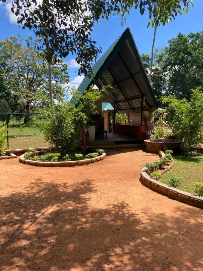 The View Hotel Sigiriya Dış mekan fotoğraf
